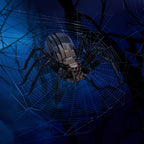 Zestaw klocków LOTR - Shelob