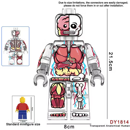 Zestaw BIG figurek human